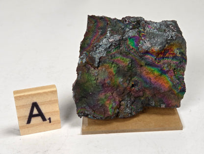 An iridescent mineral specimen with rainbow reflections on a small wooden display stand, photographed on a white surface next to a small wooden letter tile marked 'A1'.