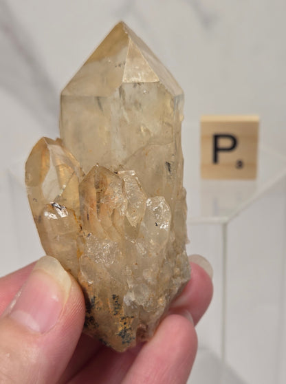 A hand holding a natural quartz crystal point specimen with a rough matrix base. The crystal is translucent golden-brown with some darker inclusions.