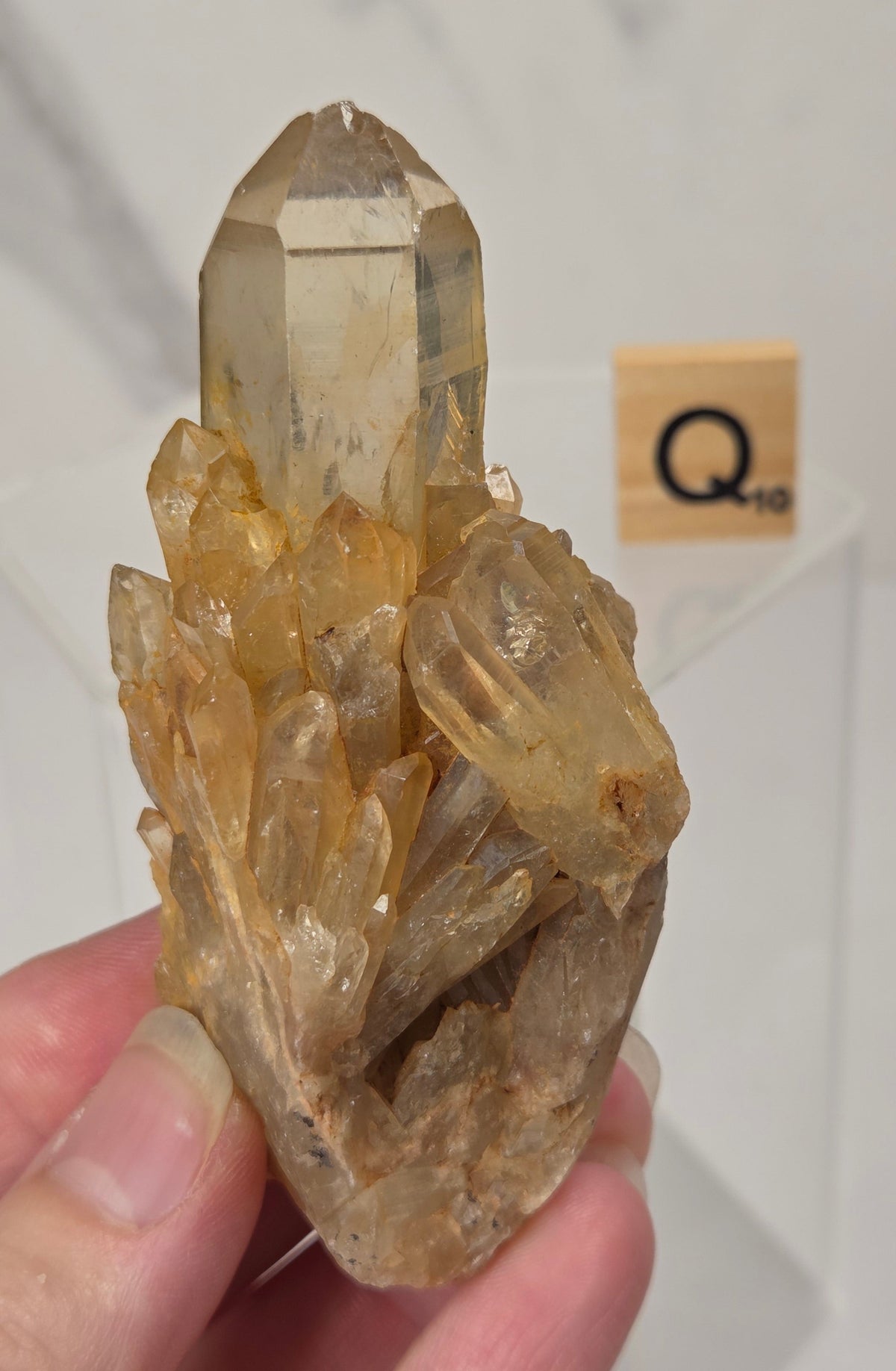 A hand holding a natural quartz crystal point specimen with a rough matrix base. The crystal is translucent golden-brown with some darker inclusions.