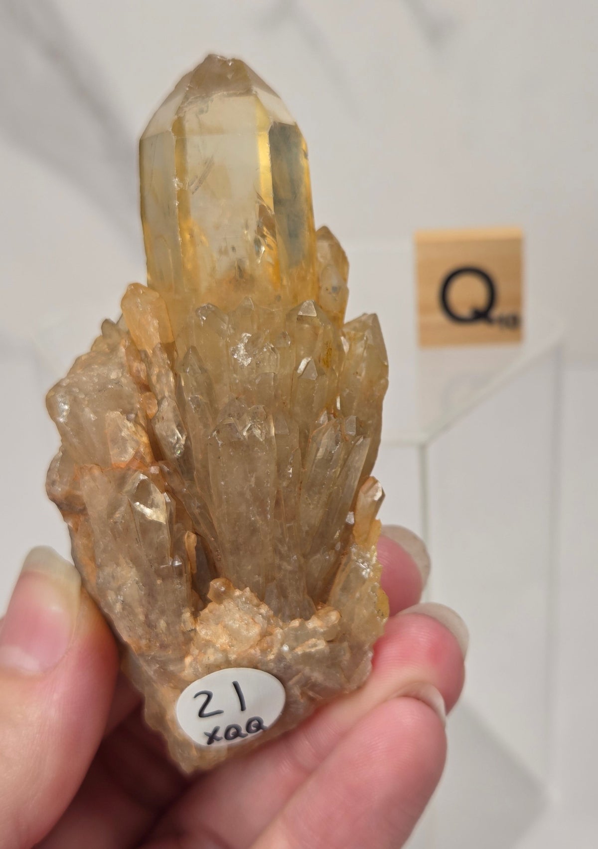 A hand holding a natural quartz crystal point specimen with a rough matrix base. The crystal is translucent golden-brown with some darker inclusions.