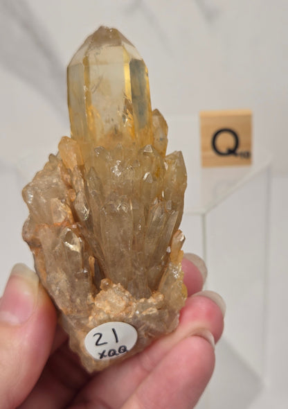 A hand holding a natural quartz crystal point specimen with a rough matrix base. The crystal is translucent golden-brown with some darker inclusions.