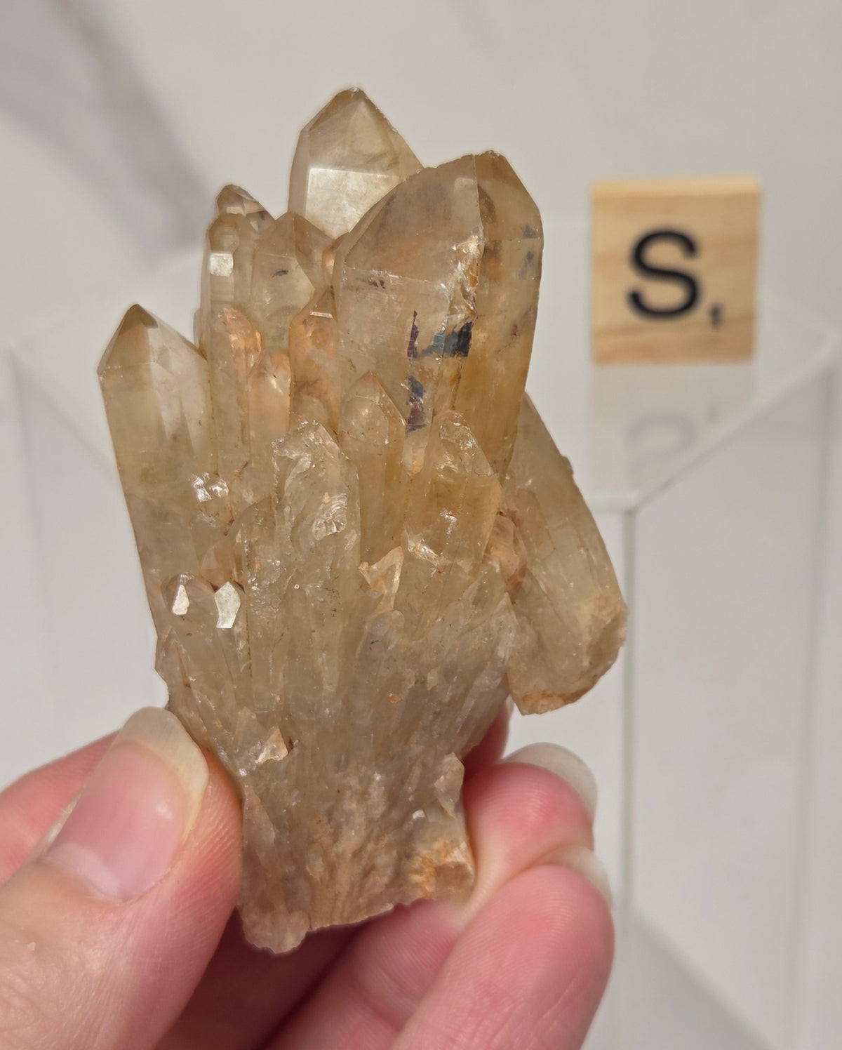 A hand holding a natural quartz crystal point specimen with a rough matrix base. The crystal is translucent golden-brown with some darker inclusions.