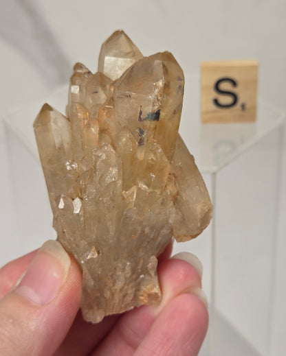 A hand holding a natural quartz crystal point specimen with a rough matrix base. The crystal is translucent golden-brown with some darker inclusions.