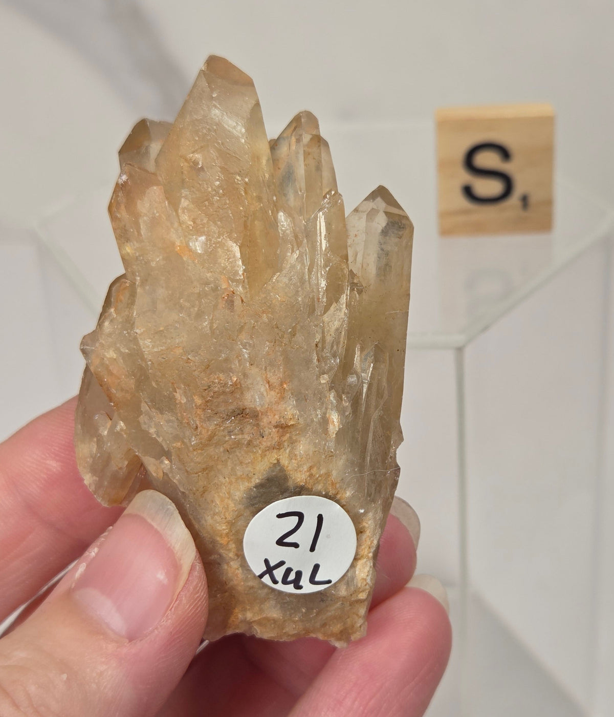 A hand holding a natural quartz crystal point specimen with a rough matrix base. The crystal is translucent golden-brown with some darker inclusions.