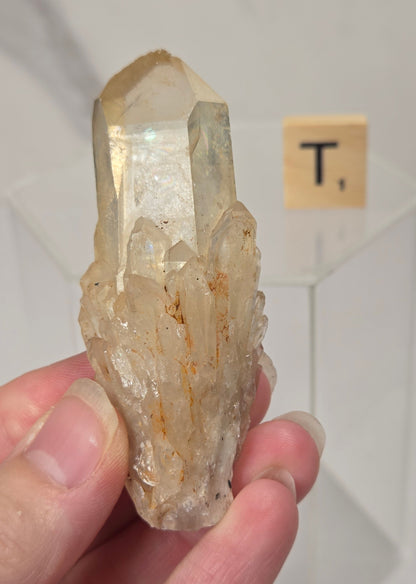 A hand holding a natural clear quartz crystal cluster with subtle golden-brown inclusions, set against a white marble background with a small wooden letter tile.