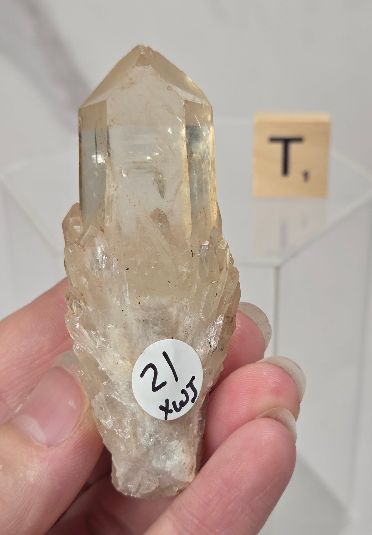A hand holding a natural quartz crystal point specimen with a rough matrix base. The crystal is translucent golden-brown with some darker inclusions.