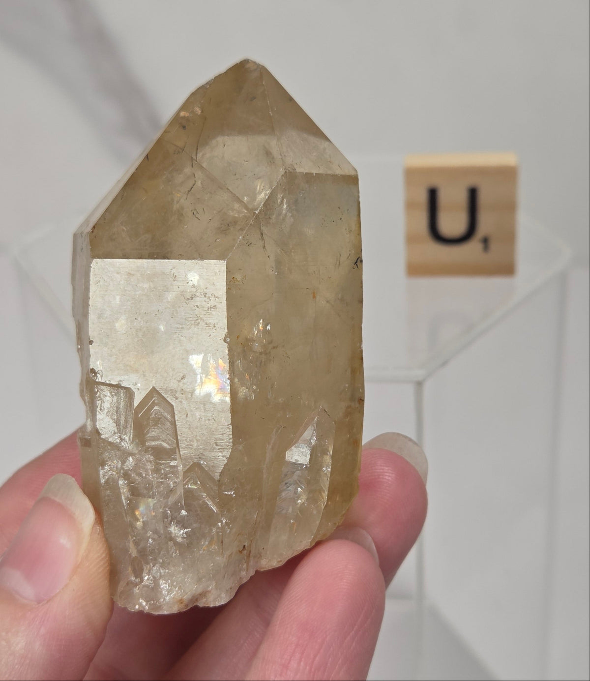 A hand holding a natural quartz crystal point specimen with a rough matrix base. The crystal is translucent golden-brown with some darker inclusions.