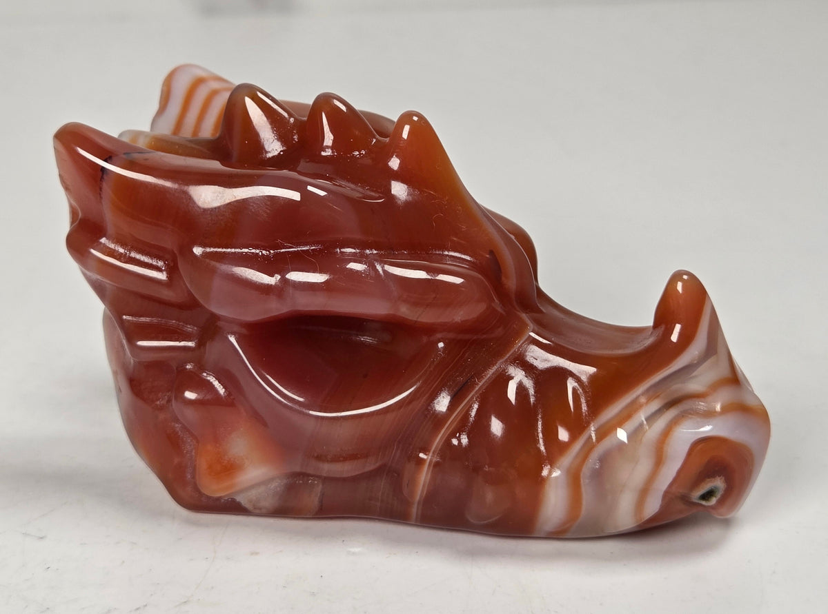 A small carved dragon figurine made of polished reddish-brown and white agate, shown on a plain light gray surface.