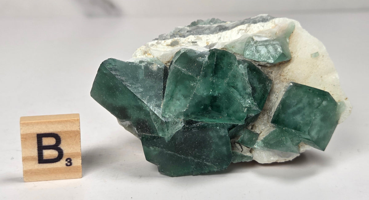 Green Fluorite specimen with a wood tile with the letter B against a marbled background