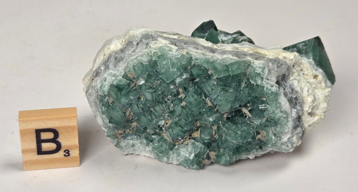 Green Fluorite specimen with a wood tile with the letter B against a marbled background