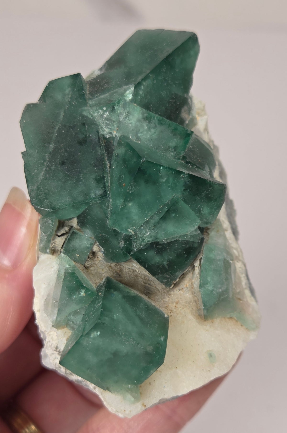 Hand holding a green fluorite specimen on white matrix against a grey background