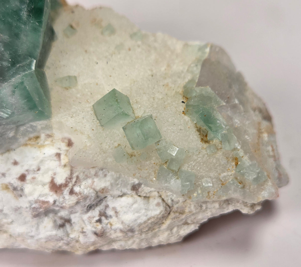 Close-up of a green fluorite specimen showing the fluorite cubes on white matrix against a grey background