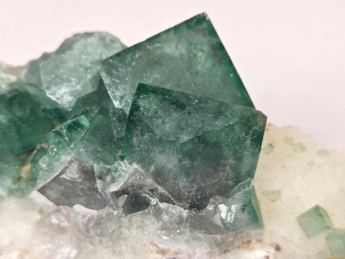 Close-up of a green fluorite specimen showing the fluorite cubes on white matrix against a grey background