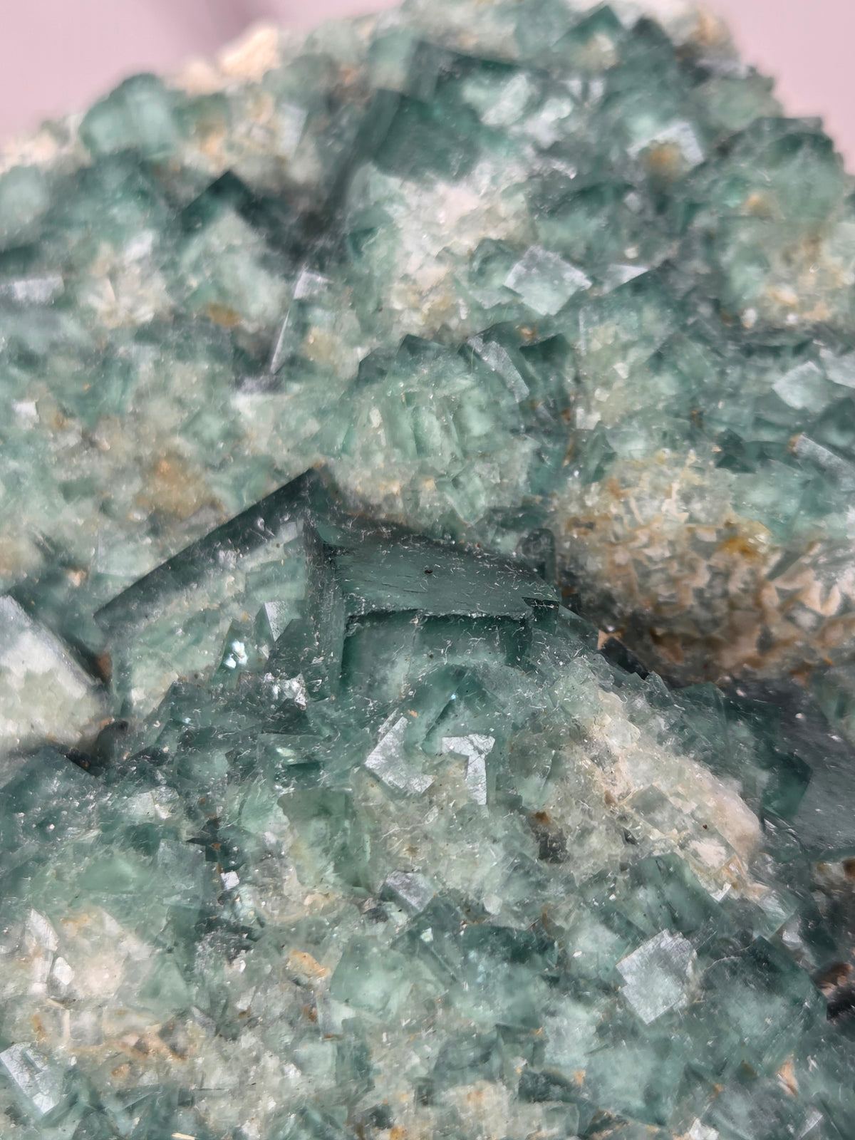 close-up of a green fluorite specimen