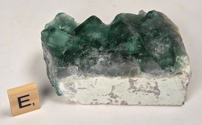 Green Fluorite specimen with a wood tile with the letter E against a marbled background