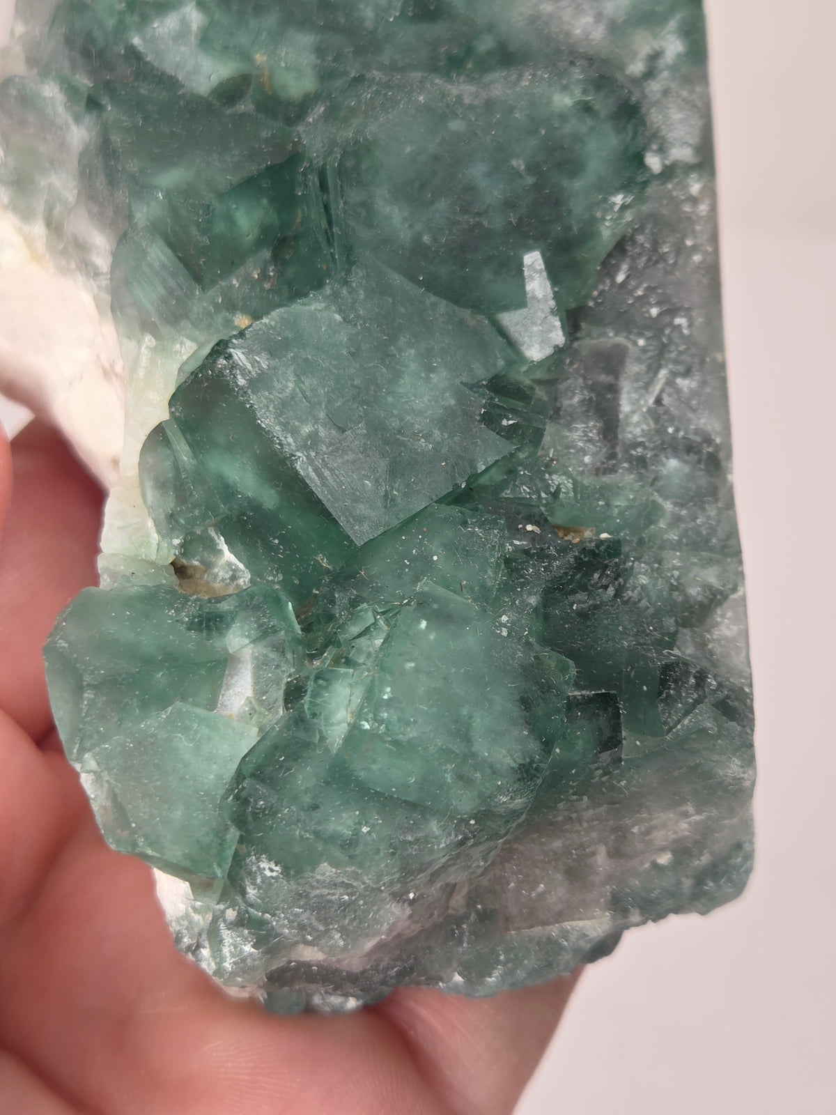 Close-up of a green fluorite specimen showing the fluorite cubes on white matrix against a grey background