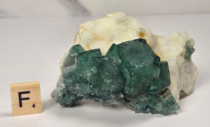 Green Fluorite specimen with a wood tile with the letter F against a marbled background