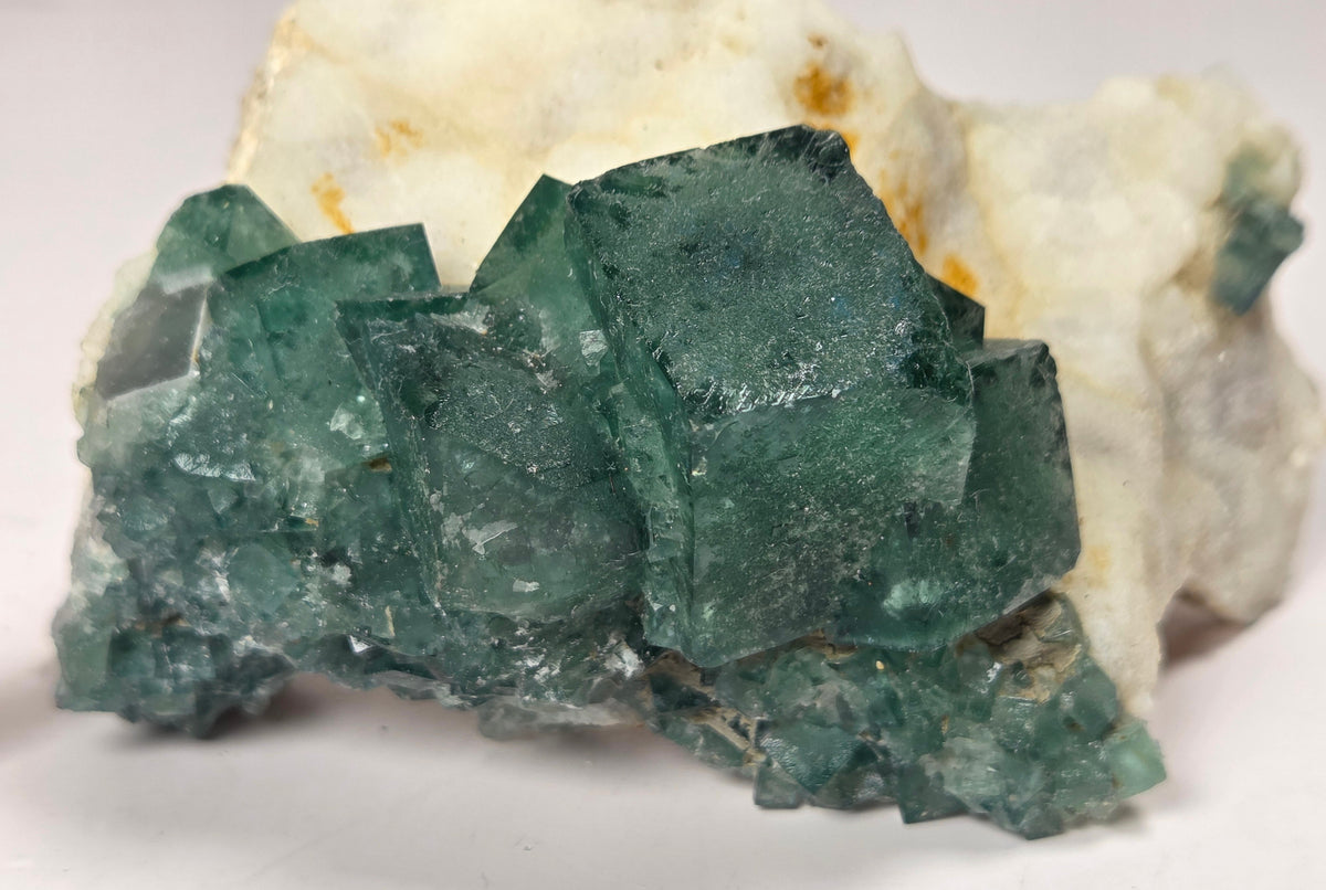 Close-up of a green fluorite specimen showing the fluorite cubes on white matrix against a grey background