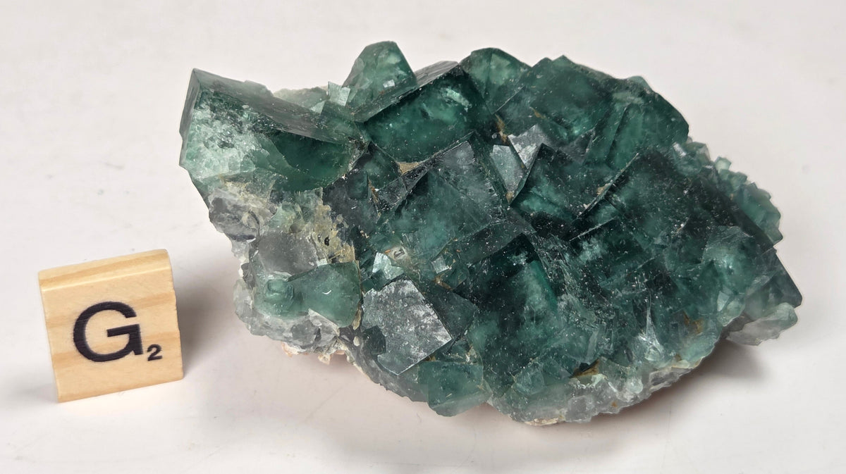 Green Fluorite specimen with a wood tile with the letter G against a marbled background