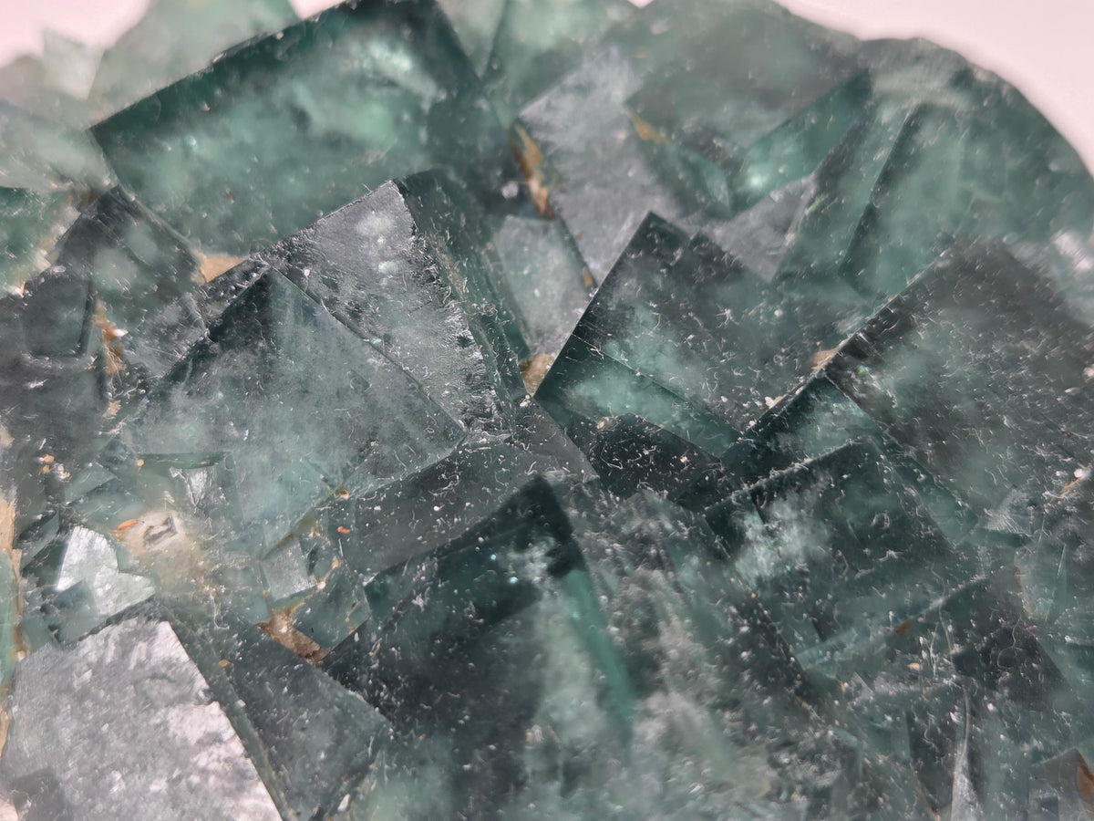 Close-up of a green fluorite specimen showing the fluorite cubes