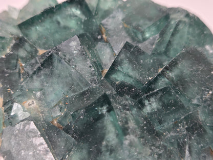 Close-up of a green fluorite specimen showing the fluorite cubes