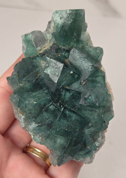Hand holding a green fluorite specimen against a grey background
