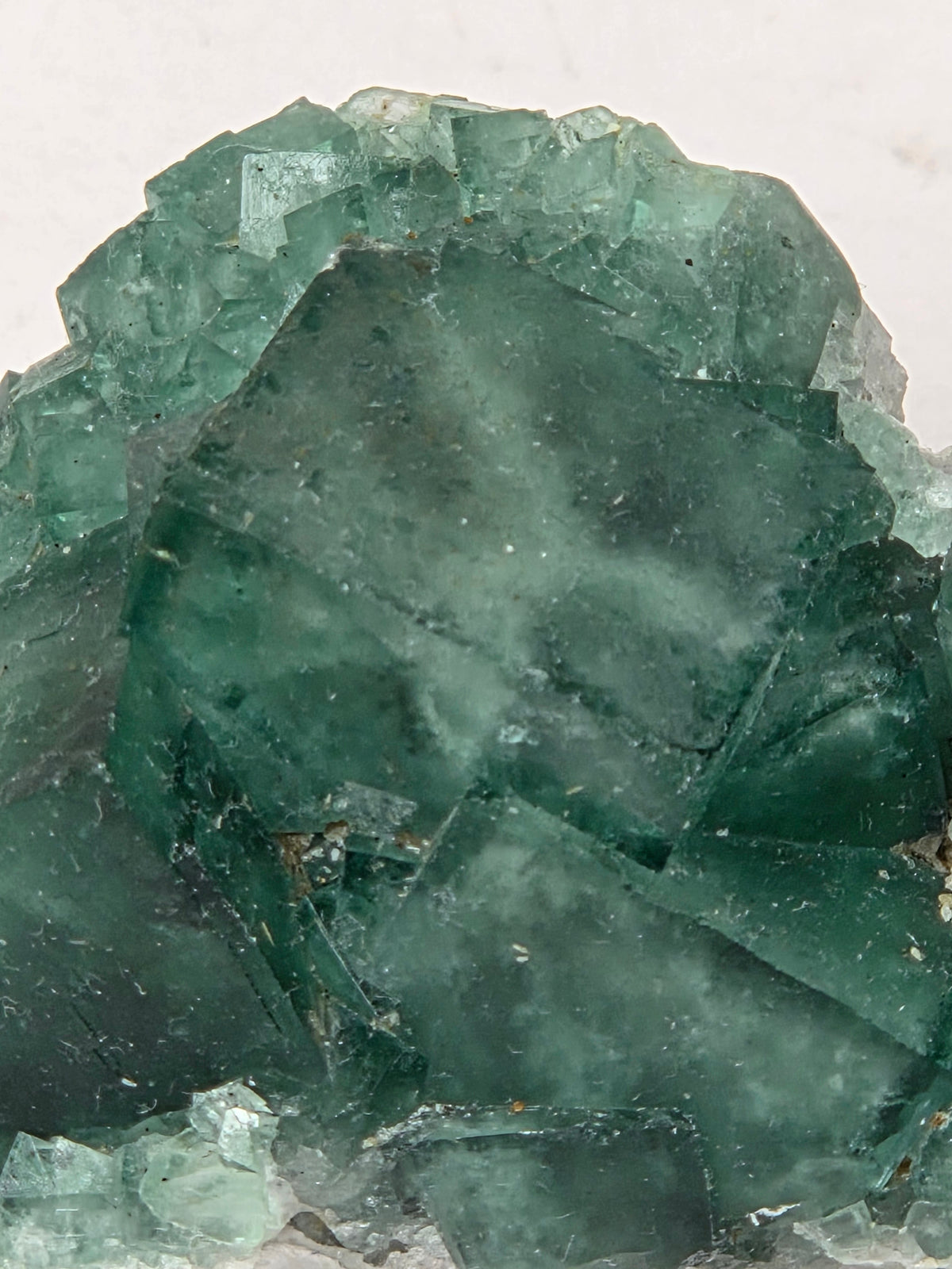 Close-up of a green fluorite specimen showing fluorite cubes
