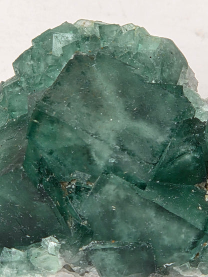 Close-up of a green fluorite specimen showing fluorite cubes