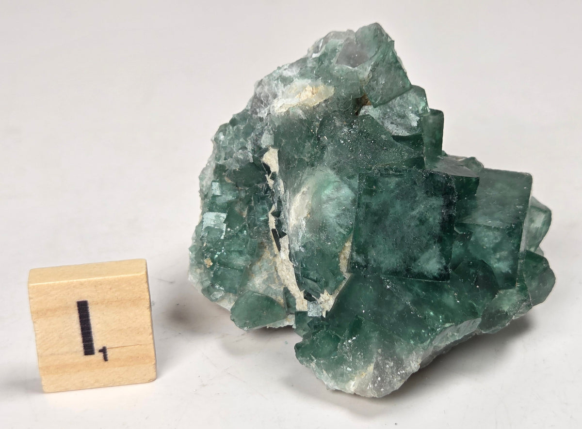 Green Fluorite specimen with a wood tile with the letter I against a marbled background