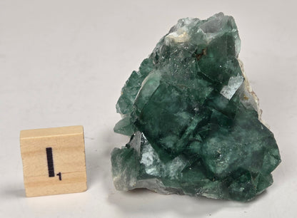 Green Fluorite specimen with a wood tile with the letter I against a marbled background