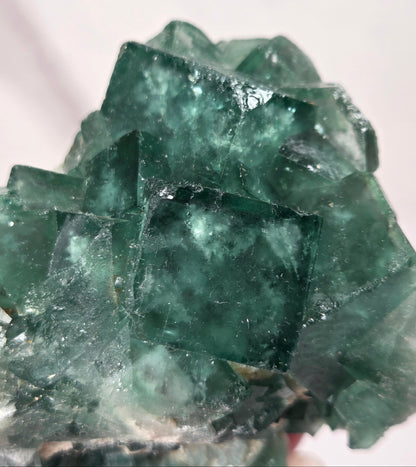 Close-up of a green fluorite specimen showing fluorite cubes