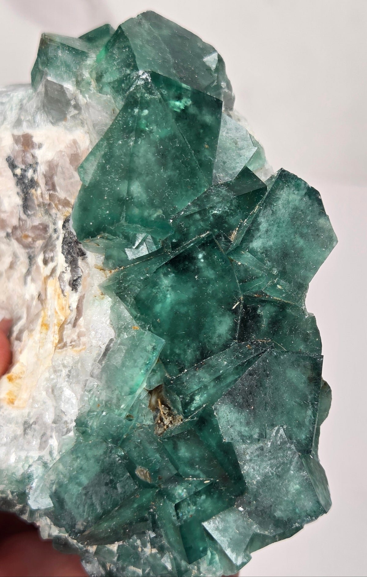 Close-up of a green fluorite specimen showing the fluorite cubes on white matrix against a grey background