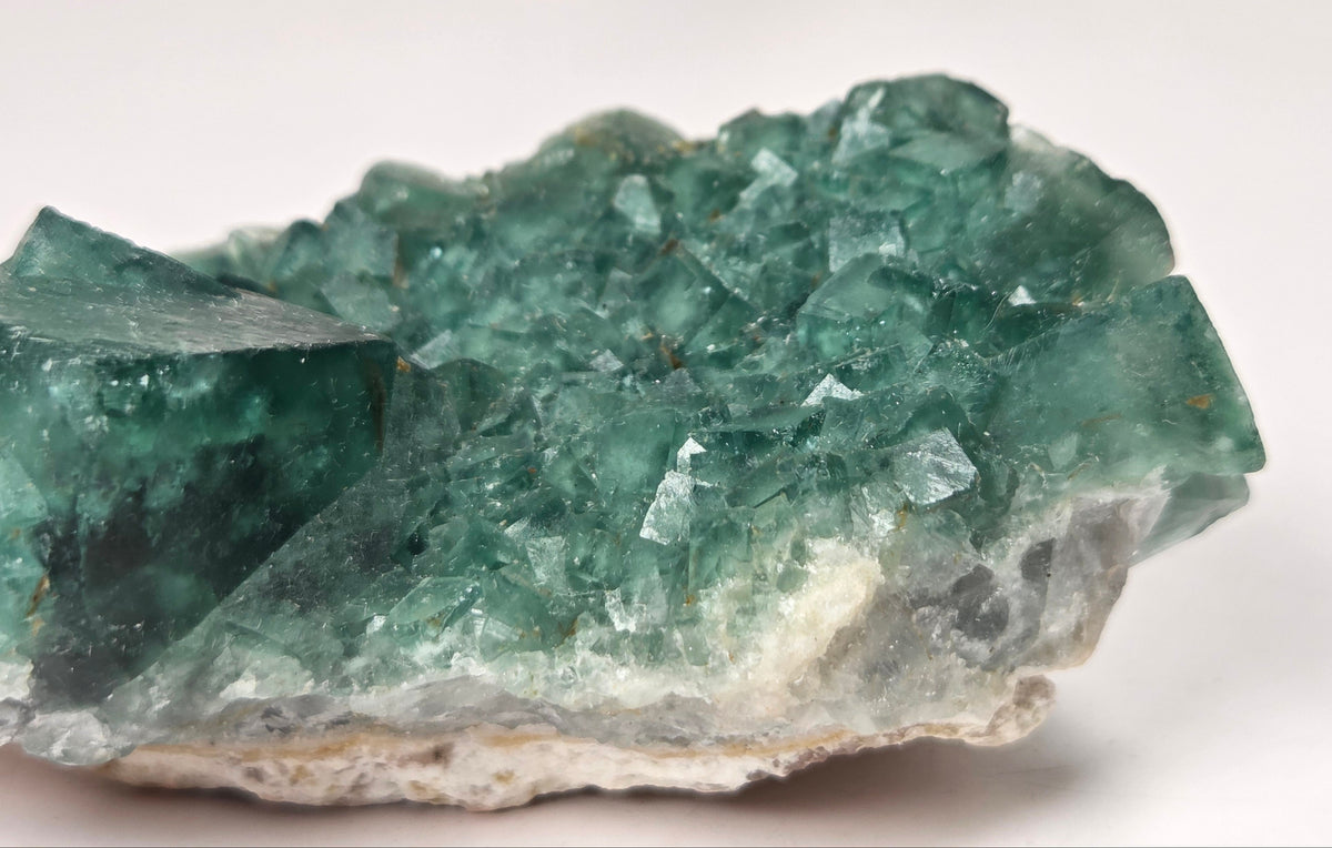 Close-up of a green fluorite specimen showing the fluorite cubes on white matrix against a grey background