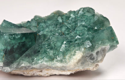 Close-up of a green fluorite specimen showing the fluorite cubes on white matrix against a grey background