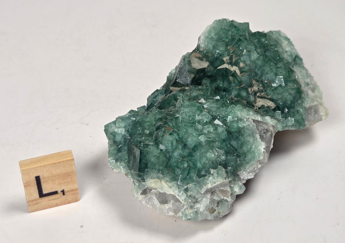 Green Fluorite specimen with a wood tile with the letter L against a marbled background