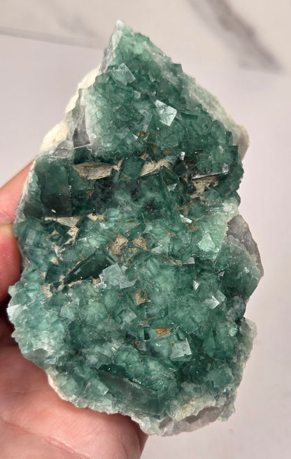 Hand holding a cubic green fluorite specimen against a grey background
