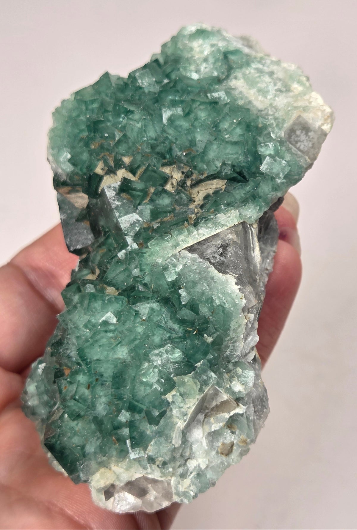 Hand holding a cubic green fluorite specimen against a grey background