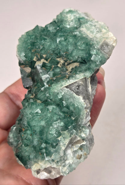 Hand holding a cubic green fluorite specimen against a grey background
