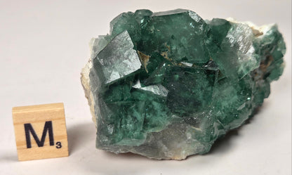 Green Fluorite specimen with a wood tile with the letter M against a marbled background