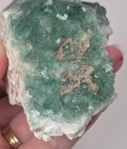 Close-up of a green fluorite specimen showing the fluorite cubes on white matrix against a grey background