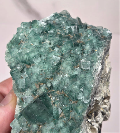 Close-up of a green fluorite specimen showing the fluorite cubes on white matrix against a grey background