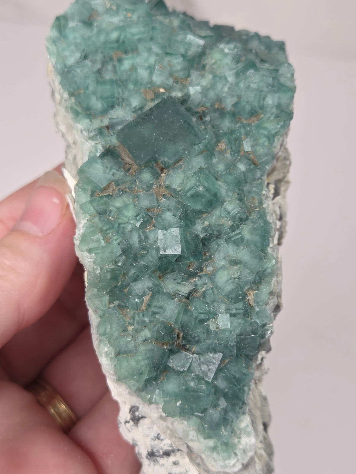 Close-up of a green fluorite specimen showing the fluorite cubes on white matrix against a grey background