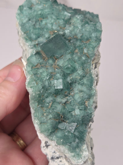Close-up of a green fluorite specimen showing the fluorite cubes on white matrix against a grey background