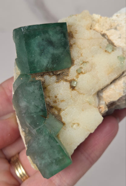 Close-up of a green fluorite specimen showing the fluorite cubes on white matrix against a grey background