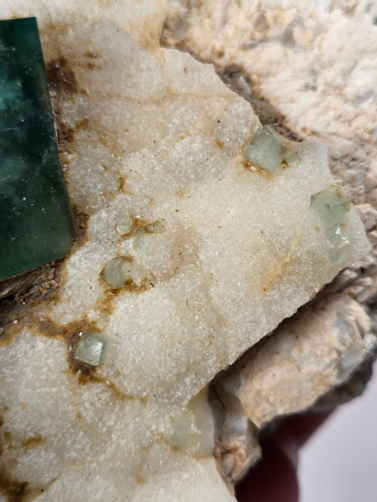 Close-up of a green fluorite specimen showing the fluorite cubes on white matrix against a grey background