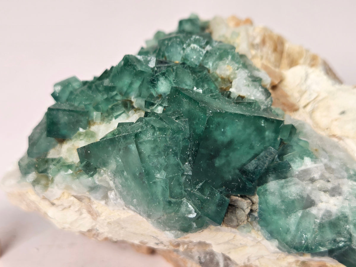 Close-up of a green fluorite specimen showing the fluorite cubes on white matrix against a grey background