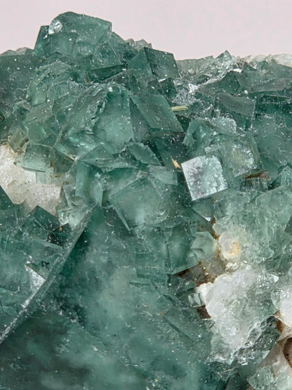 Close-up of a green fluorite specimen showing the fluorite cubes on white matrix against a grey background