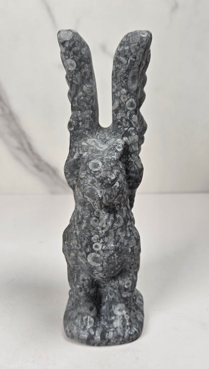 Griffon style carving made of fossil shell jasper material showing fossils against a marbled background