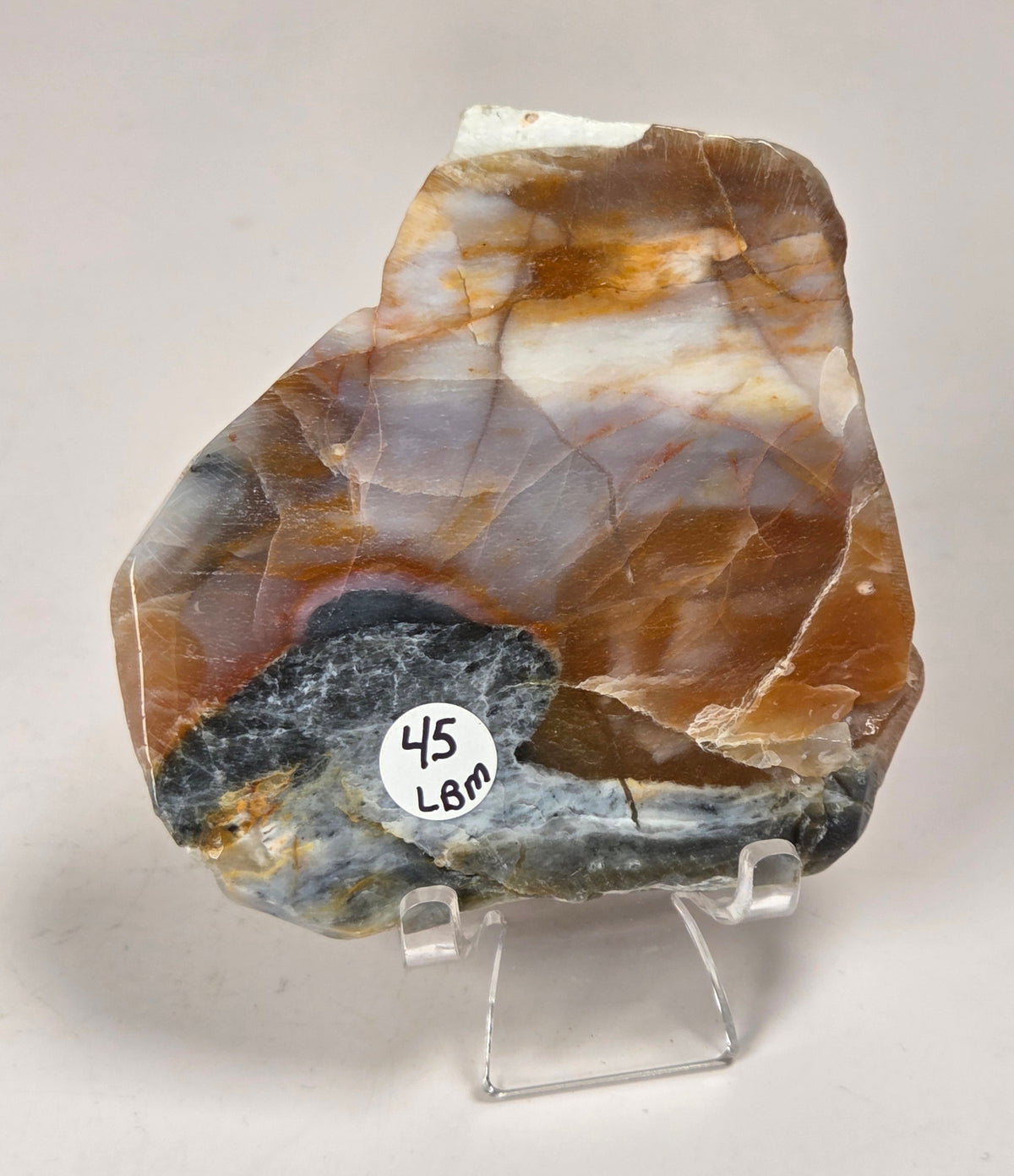Petrified wood slab with blue, red and white coloring on an acrylic stand against a white background