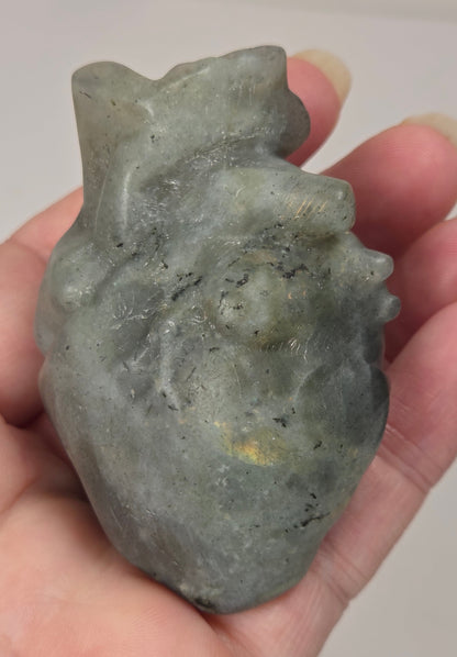 Hand holding a grey labradorite carving of an anatomical heart against a white background